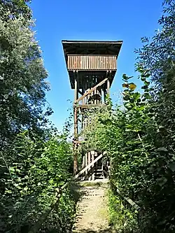 Bild des Objektes