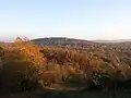 Blick vom Alten Hollenstein auf den 347 Meter hohen Höchberg
