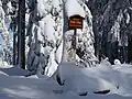 Gipfelschild: Standort Platte 946 m höchster Berg im Steinwald