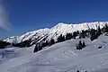 Südflanke