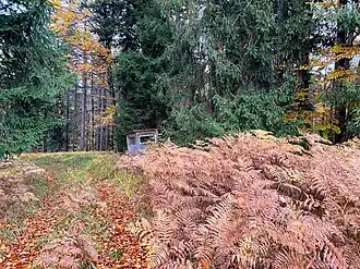 am Höhenberg