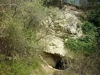 Der 2×3 m große Haupteingang der Höhlturmhöhle