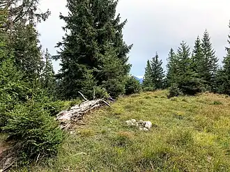 Am Kleinen Hühnerberg