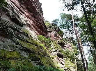 Hülsenbergfelsen
