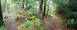 Eingang zum Kernbereich mit Wallaufgang links.
