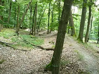Frühmittelalterlicher Ringwall auf dem Hünerberg