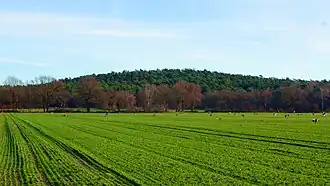 Hünsberg, eine sanfte Kuppe über der Heubachniederung