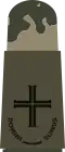Evangelischer Pfarrer im Bereich Heeres-/ Luftwaffen­uniformträger