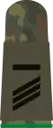 Aufschiebeschlaufe für Hauptgefreiter UA (Heeresuniformträger Fallschirmjäger­truppe)