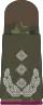 Feldanzug Oberst ABC-Abwehrtruppe (Aufschiebeschlaufen, oliv, weiße Dienstgradabzeichen)