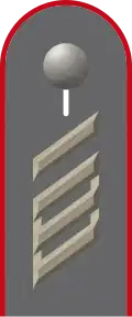 Dienstgradabzeichen auf der Schulterklappe der Jacke des Dienstanzuges für Heeresuniformträger der Heeresflugabwehrtruppe.