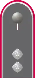 Dienstgradabzeichen auf der Schulterklappe der Jacke des Dienstanzuges für Heeresuniformträger der Panzertruppe.
