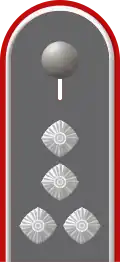 Dienstgradabzeichen auf der Schulterklappe der Jacke des Dienstanzuges für Heeresuniformträger der Artillerietruppe.