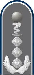 Dienstgradabzeichen auf der Schulterklappe der Jacke des Dienstanzuges für Heeresuniformträger der Sanitätstruppe.
