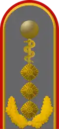 Dienstgradabzeichen auf der Schulterklappe der Jacke des Dienstanzuges für Heeresuniformträger der Sanitätstruppe (Humanmedizin).