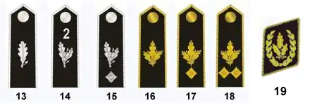 HJ Adult Ranks.jpg