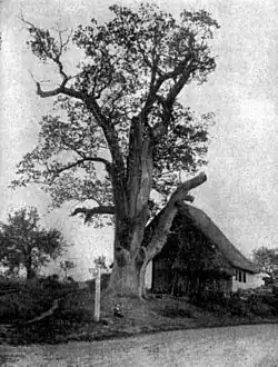 Um 1892
