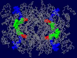 HMG-CoA-Reduktase
