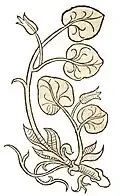 Hortus sanitatis 1491