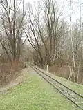 Gleis der Waldbahn