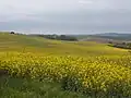 Landschaft bei Szápár