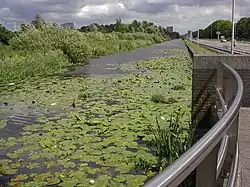 Reste der Haarlemmertrekvaart neben der N200, 2007