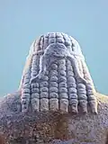 Haarpracht des Kouros