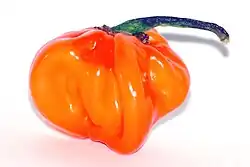 Frucht