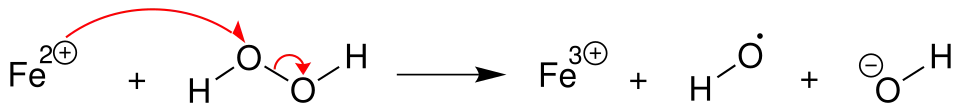 2. Schritt der Haber-Weiss-Reaktion