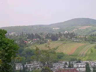 Der Hackenberg mit seinen Schreber- und Weingärten gesehen vom Dr.-Meißner-Park