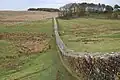 Abschnitt 36: Teil des von John Clayton (1792–1890) restaurierten Wallabschnitts beim Kastell Housesteads