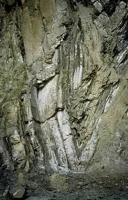 Spitzfalte im Steinbruch Hagen-Vorhalle