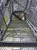 Treppe