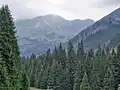 Ornak Alm