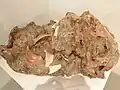 Kriegsschmelze aus einem Bombentrichter (Stadtmuseum)