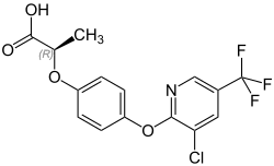 Haloxyfop-P