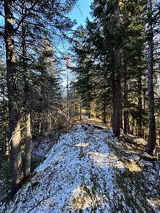 Halseck, Gipfelgrat