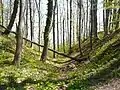 Reste des Halsgrabens