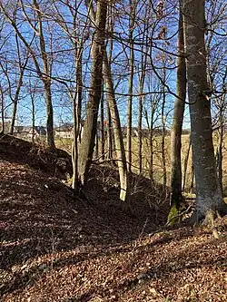 Halsgraben