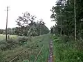 Haltepunkt Trünzig, Bahnsteig (2016)