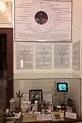 Themenbereich Cannabis in der Medizin