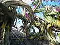 Knorrige Bäume aus Beton