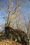 Basaltfelsen