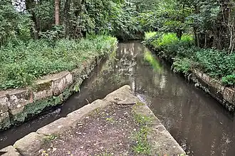 Hanhofer Wassergescheid aus Nordosten: Abzweig des Woogbachs vom Speyerbach nach rechts vorn