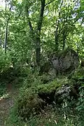 Der Gipfel