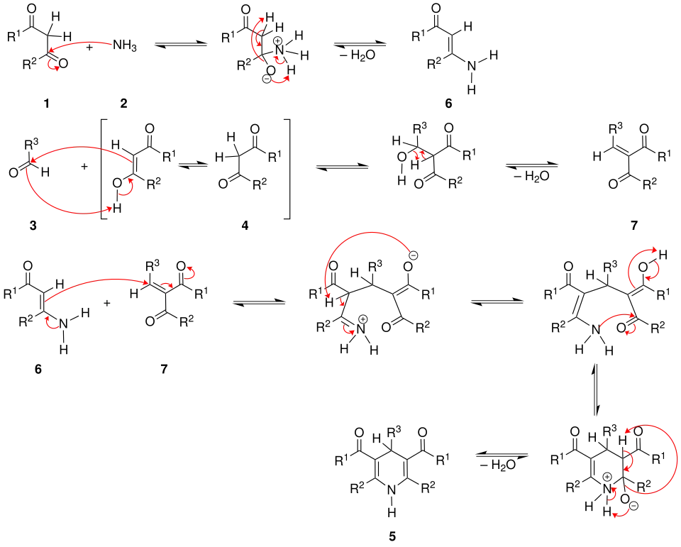 Mechanismus der Hantzschschen-Dihydropyridinsynthese
