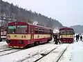 ČD-Baureihe 810 (Hanušovice; 2010)