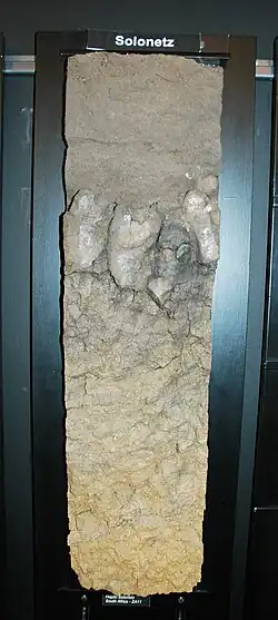 Muster von Solonetz