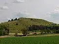 Naturdenkmal Rollenberg bei Hoppingen