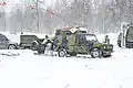Wolf der norwegischen Armee